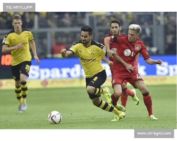 沃尔夫斯堡有意多特蒙德主管凯尔，双方未接触